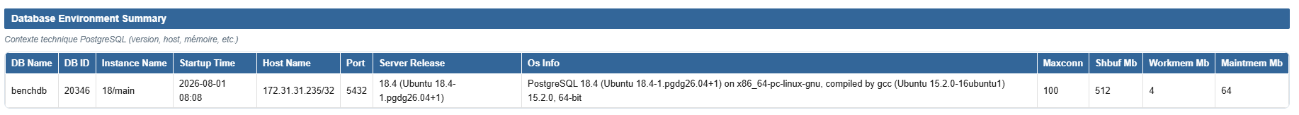Résumé détaillé de l'instance : version PostgreSQL, OS, shared_buffers, work_mem et maintenance_work_mem
